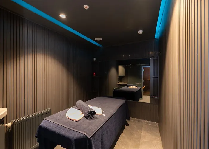 Quı Hotel&spa Istanboel