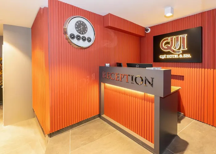 Quı Hotel&spa 3* Istanboel