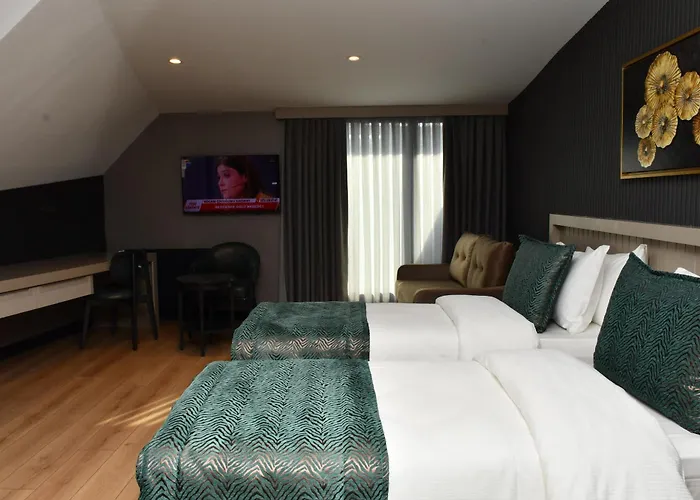 Quı Hotel&spa 3* Istanboel