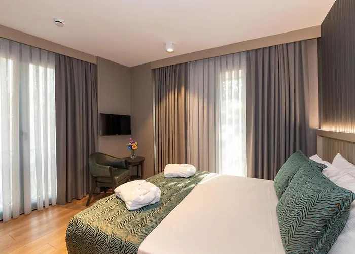 Qui Hotel&spa איסטמבול