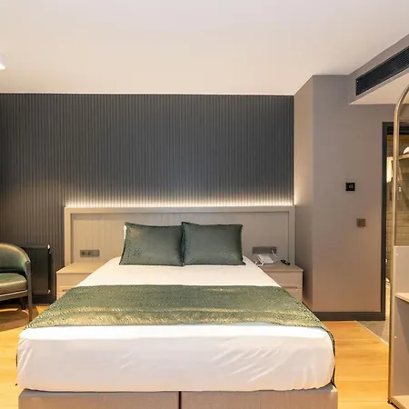 Quı Hotel&spa 3* Istanboel